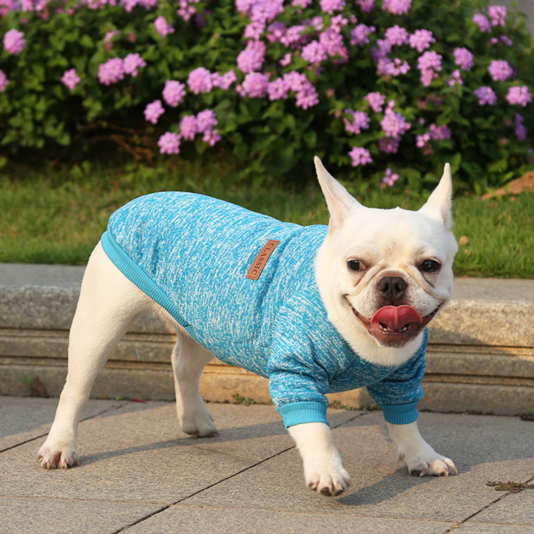 Suéter Classic Azul-Ropa Mascota