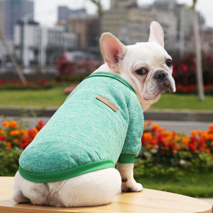 Suéter Classic Verde Árbol-Ropa Mascota